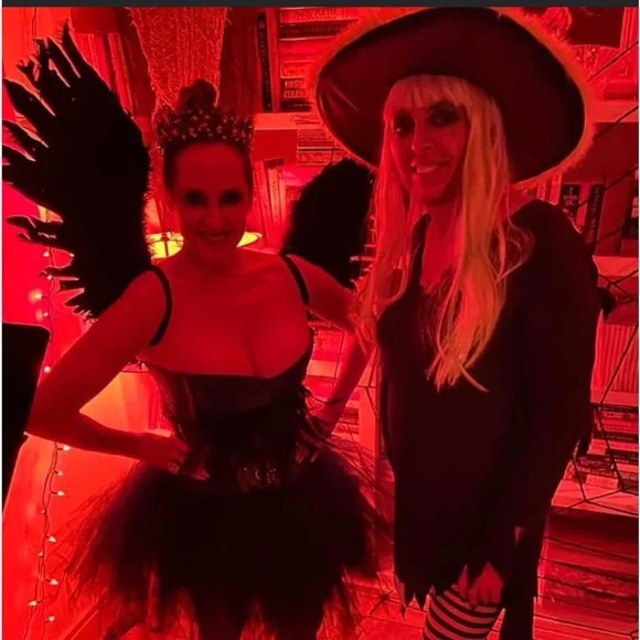 ❌SOLD❌👀Feathered Wings -Handmade-Real Duck & Goose Feathers-Costume-Ballet - Picture 3 of 9